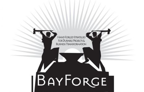 BayForge Consulting – Durable Projects & Business Transformation