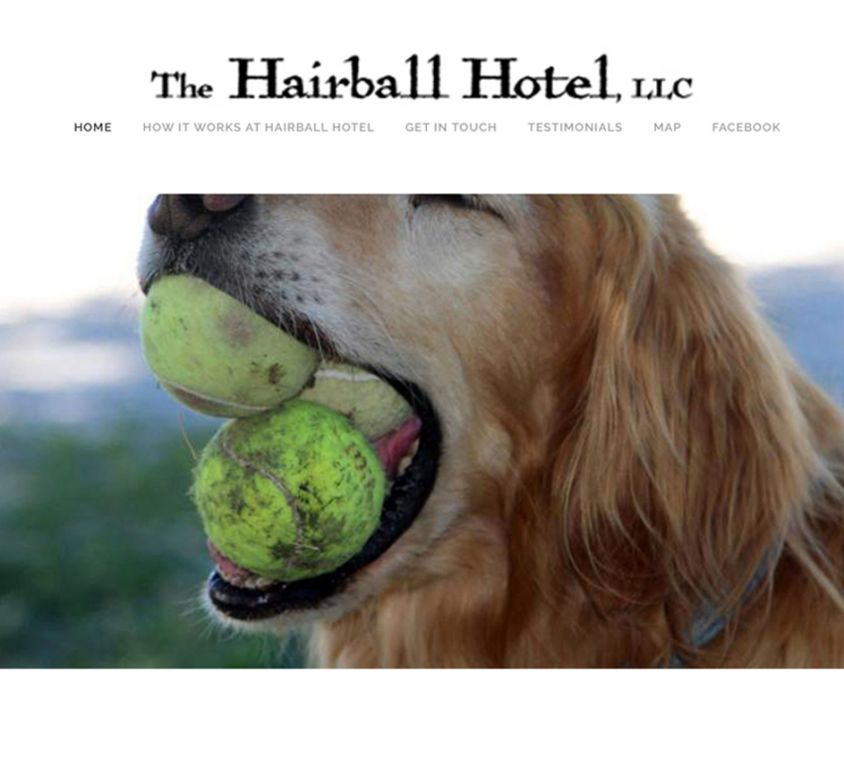 Hairball Hotel – No-Cage Canine Boarding