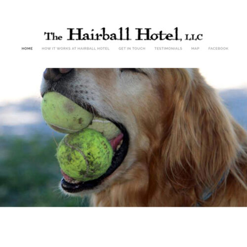 Hairball Hotel – No-Cage Canine Boarding