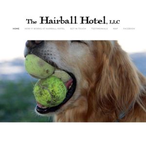 Hairball Hotel