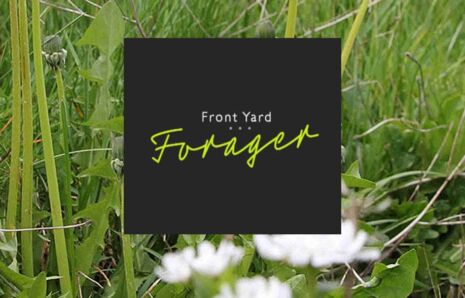 Front Yard Forager – Workshops and Books on Foraging