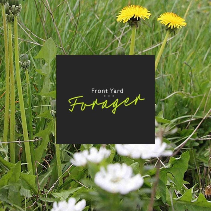 Front Yard Forager – Workshops and Books on Foraging